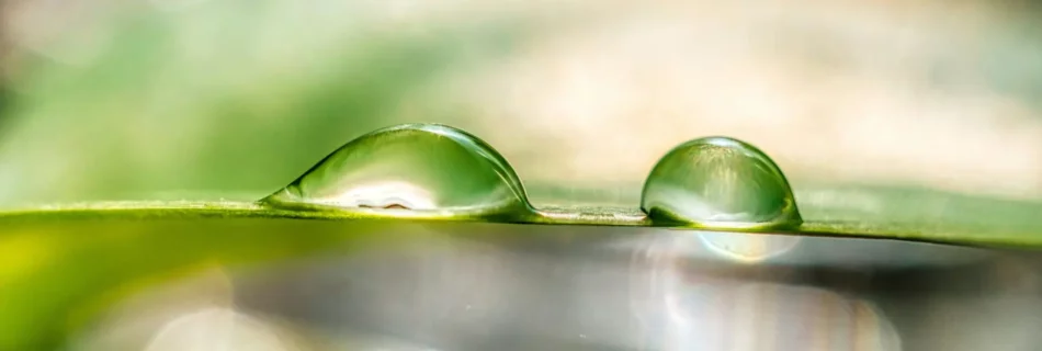Une goutte d'eau verte sur de l'eau