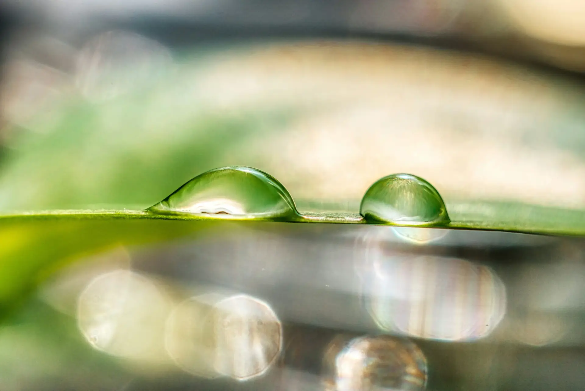 Une goutte d'eau verte sur de l'eau