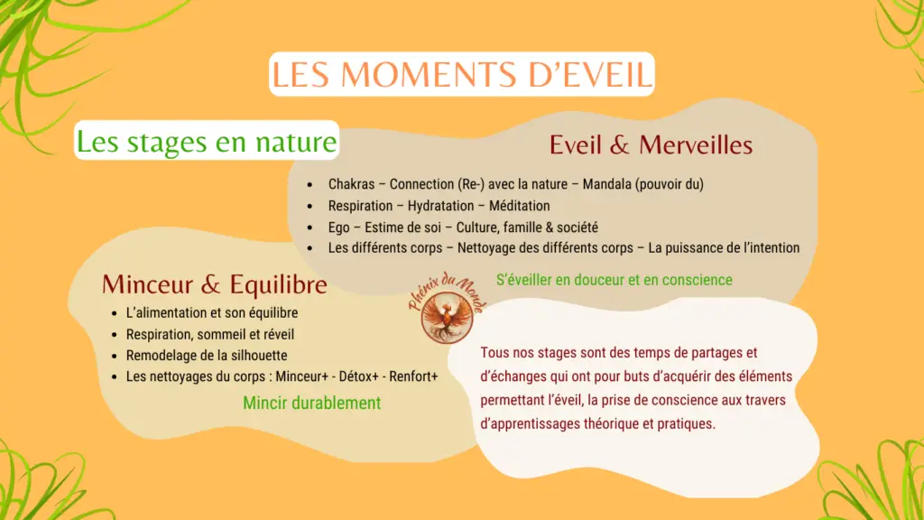Phénix du Monde présentation des stages en nature