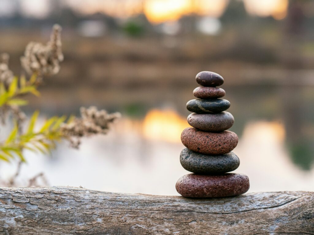 Les stages d'éveil en nature 9 zen