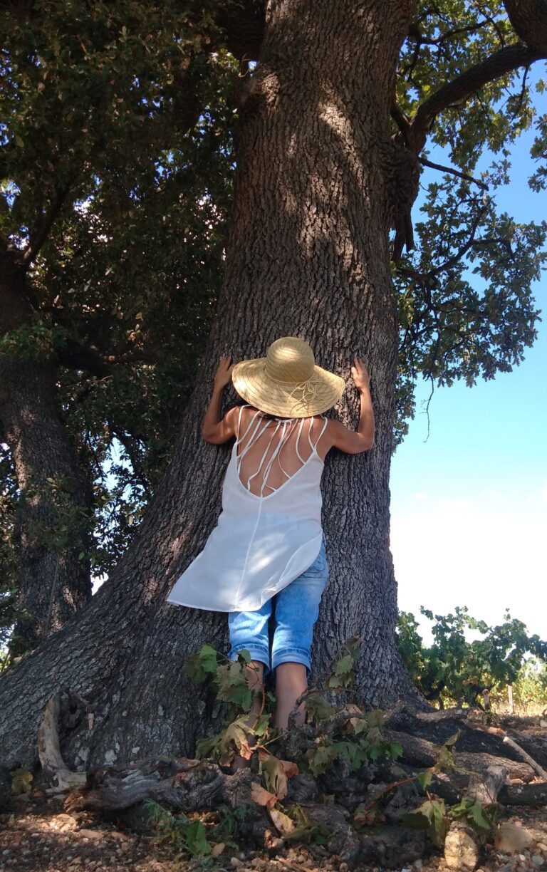 amour enrgie arbre