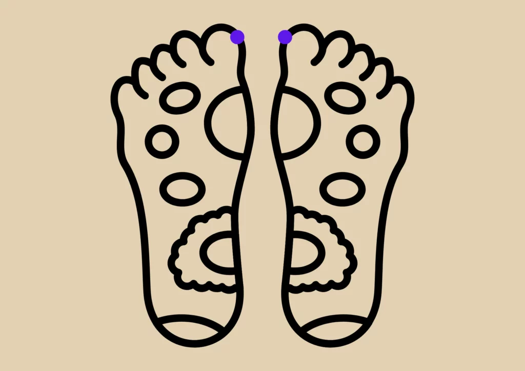 La glande pinéale et les points de digitoponcture sur les pieds